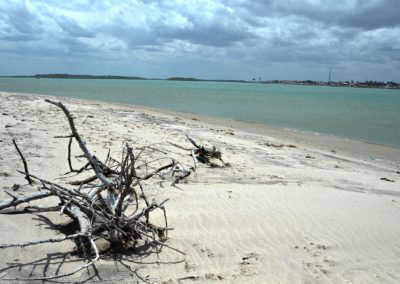 Jericoacoara